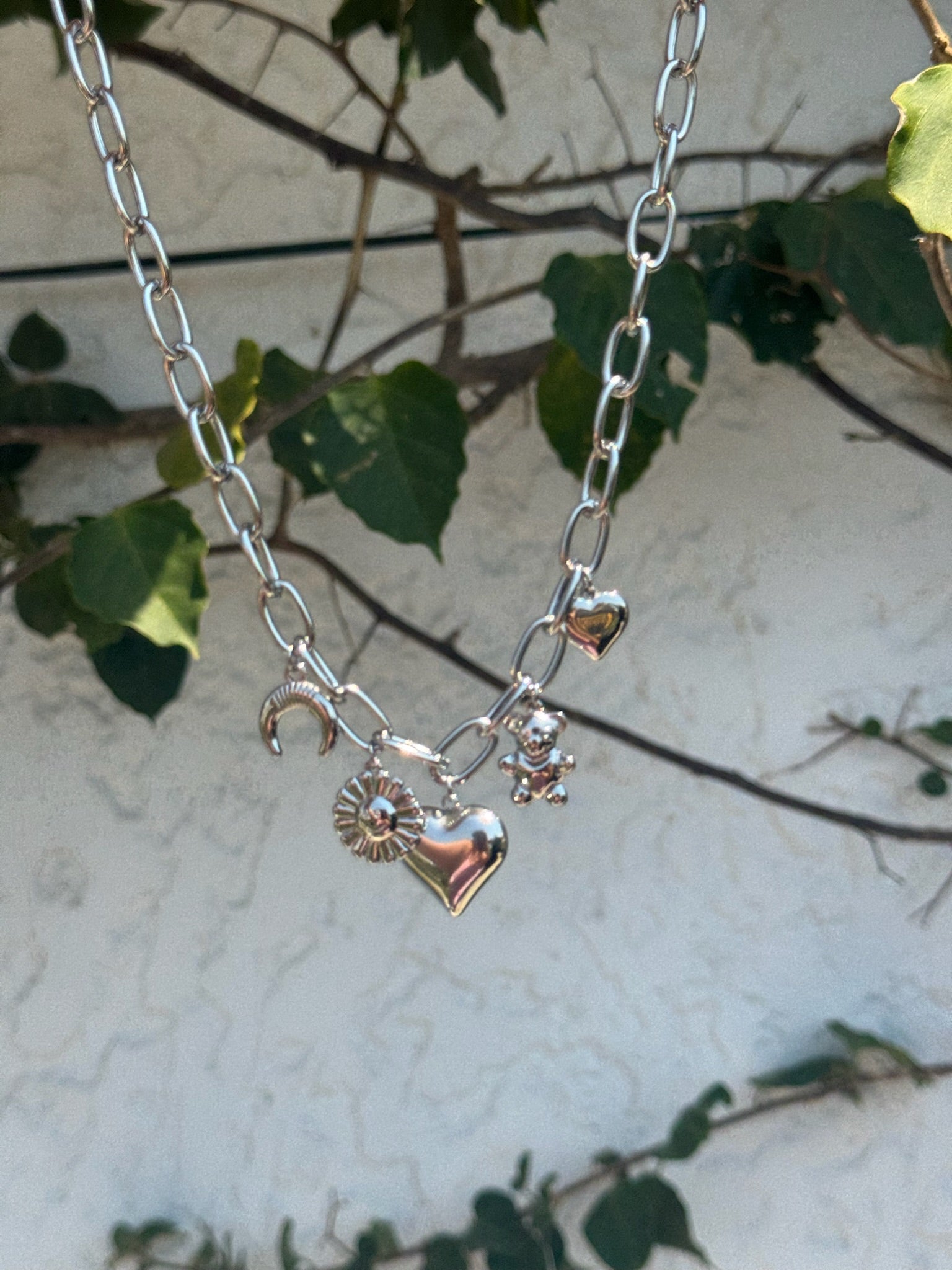 Charm Silver Neckless